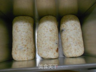 全麦土司的做法步骤：9