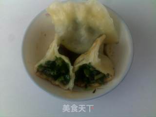 韭菜茄子蒸饺的做法步骤：7