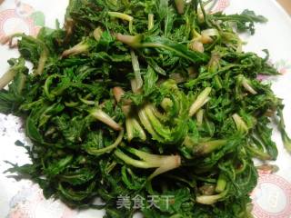 凉拌苦苦菜的做法步骤：6