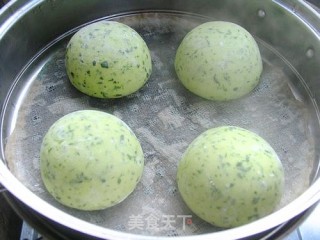 馒头也野菜——苜蓿馒头的做法步骤：9