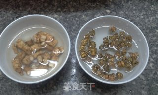 石斛炖花旗参的做法步骤：1