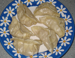 鲜肉煎饺的做法步骤：13