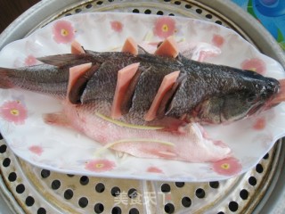 蒸鲈鱼的做法步骤：6