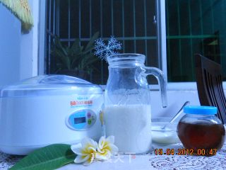 超简单，DIY健康蜂蜜酸奶的做法步骤：1