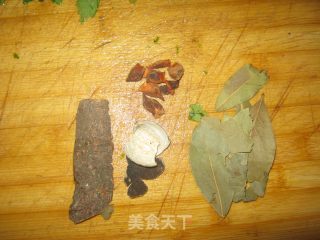家常炖鸡的做法步骤：4