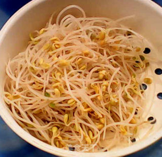 家常小炒——黄豆芽炒木耳的做法步骤：6
