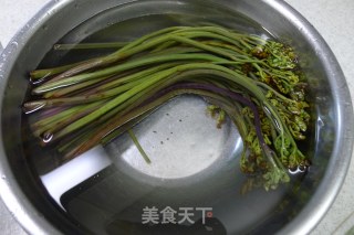 里脊炒蕨菜的做法步骤：4