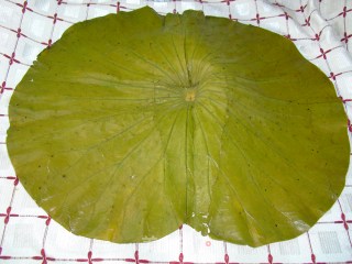 荷叶粥的做法步骤：5