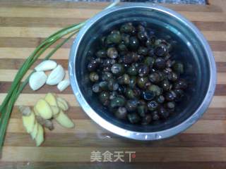 酱爆螺蛳的做法步骤：1