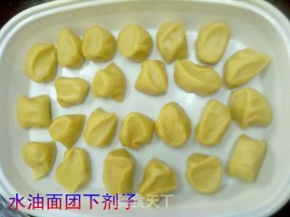 椰子饼【椰子酥、肉松酥】的做法步骤：8