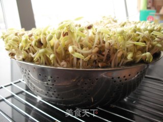 如何在低温季节生发绿豆芽的做法步骤：15