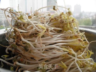 如何在低温季节生发绿豆芽的做法步骤：18