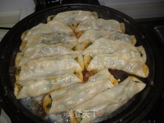 蒲公英肉锅贴的做法步骤：10