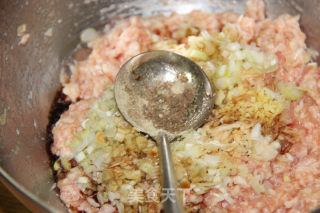 清香诱人的口感--【豆角猪肉饺】的做法步骤：9