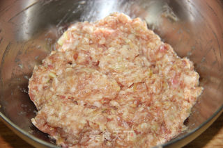 清香诱人的口感--【豆角猪肉饺】的做法步骤：10