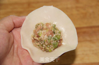 清香诱人的口感--【豆角猪肉饺】的做法步骤：13