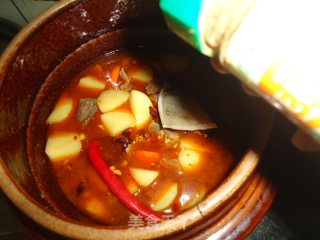 牛肉炖马铃薯的做法步骤：9
