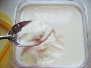 自制老酸奶——简单易学健康酸奶的做法步骤：7
