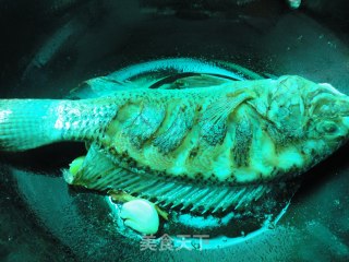 罗非鱼豆腐煲的做法步骤：4