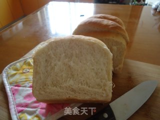 低成本的美食--- 阿米什吐司的做法步骤：15