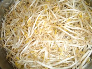 奶油炒豆芽的做法步骤：2