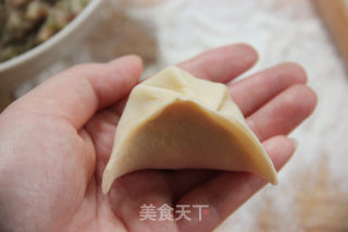 换着花样吃饺子~【美味蒸饺】的做法步骤：16
