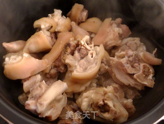 鹰嘴豆炖猪蹄的做法步骤：4