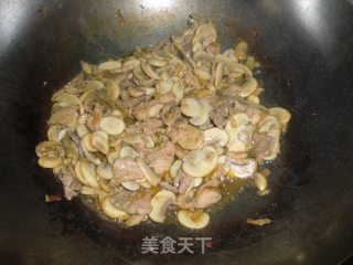 鲜蘑肉片的做法步骤：10