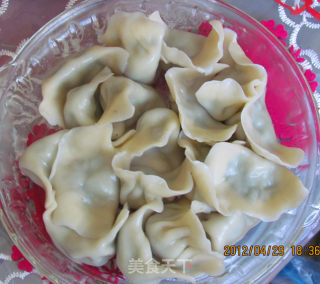 茴香饺子的做法步骤：10