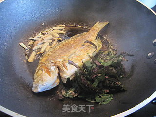 海鱼焖老节瓜的做法步骤：4