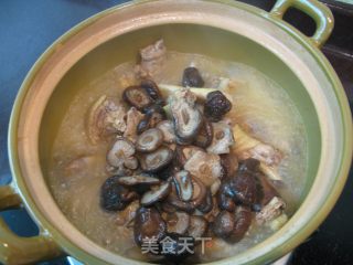 冬菇焖土鸡的做法步骤：4