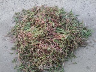 野菜蒸饺的做法步骤：1