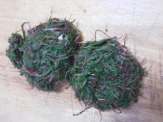 野菜蒸饺的做法步骤：5
