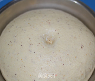 豆渣土司的做法步骤：2