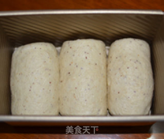 豆渣土司的做法步骤：8