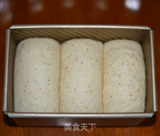 豆渣土司的做法步骤：9