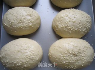芝麻餐包的做法步骤：10