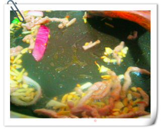 简单而美味--蚝油肉丝炒面的做法步骤：5