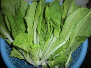 辣炒快菜的做法步骤：2