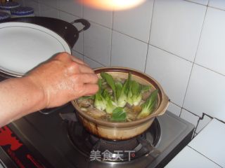 炖生敲的做法步骤：8