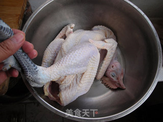 五香烤鸡的做法步骤：1