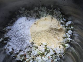 两样面蒸槐花的做法步骤：5