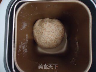 全麦面包的做法步骤：5
