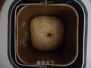 全麦面包的做法步骤：6