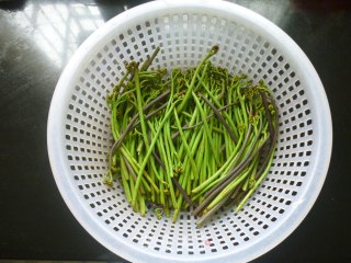 炒酸辣蕨菜的做法步骤：2
