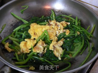 鸡蛋炒菠菜的做法步骤：6