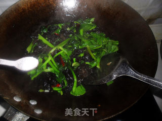小油菜炒黑木耳的做法步骤：6