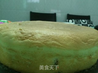 栗子戚风蛋糕的做法步骤：20