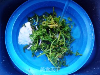 蕃茄炒水蕨菜的做法步骤：3