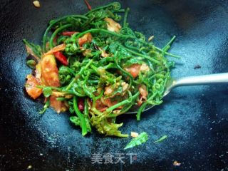 蕃茄炒水蕨菜的做法步骤：7